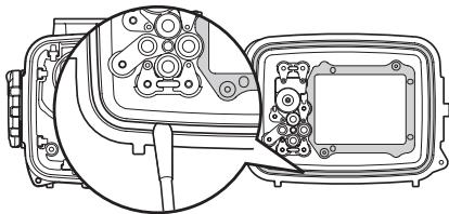 OLYMPUS PT-047 - Reinigen des O-Rings - 2