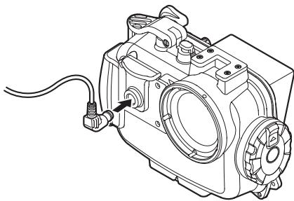 OLYMPUS PT-047 - Installation - 2