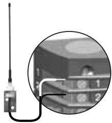 SOMFY SGA 4100 - Antenne déportede - 3