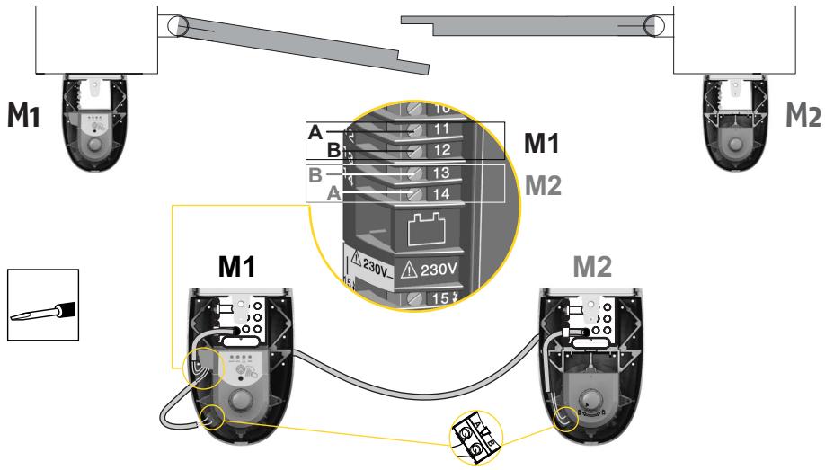 SOMFY PASSEO 650 - Raccordement des deux moteurs. - 1
