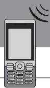 SOMFY PROTEXIOM - Informations transmises par SMS - 1