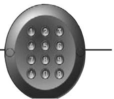 SOMFY SGS 600 - ■ Feu orange 2400596 - 9
