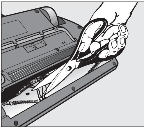 MIELE SEB 228 - Removing threads and hair - 1