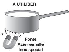 A UTILISER Fonte Acier émaillé Inox spécial