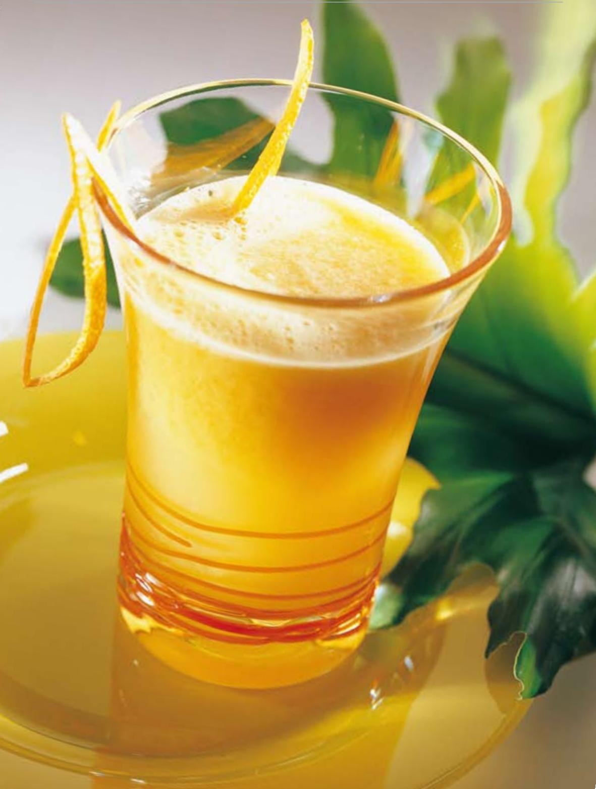 MAGIMIX JUICE EXTRACTOR SMOOTHIEMIX - HOW TO UNDERSTAND THE RECIPES - 4