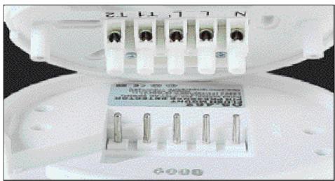 THEBEN CATALOGUE 2007 - LU 361 PE: - 5