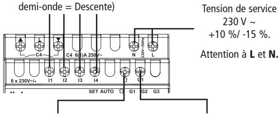 THEBEN LUXOR 408 - Description des bornes d'entrée - 1
