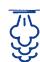 CHICCO 06560 - DATI TECHNICI - 4