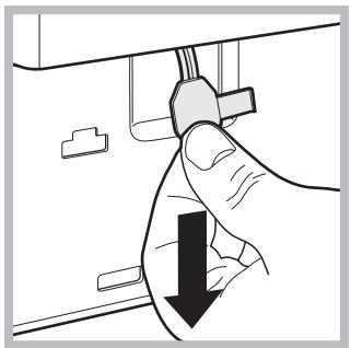 HOTPOINT AQ9L 292 U - Handmatige opening van het deurtje - 3