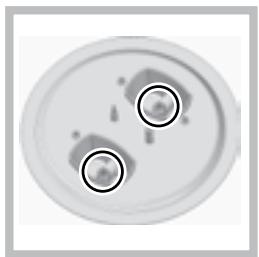HOTPOINT PK 741 RQO GH - Remplacement des injecteurs du brûleur Triple couronne - 2