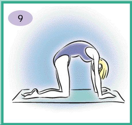 CALOR BIEN ETRE BODYMASTER 7930 - Renforcement musculaire - 3