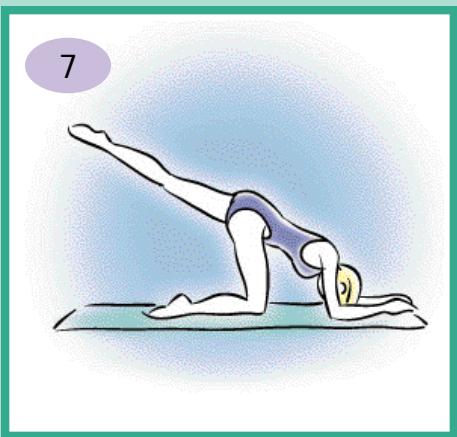 CALOR BIEN ETRE BODYMASTER 7930 - Renforcement musculaire - 1