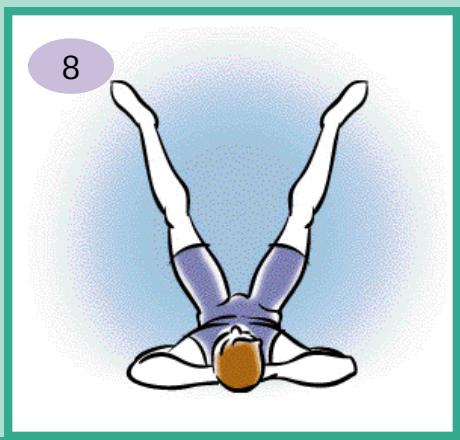 CALOR BIEN ETRE BODYMASTER 7930 - Renforcement musculaire - 2