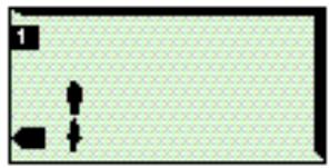 CALOR BIEN ETRE BODYMASTER 7930 - Vous devez entrer vos caractéristiques avant de vous peser. Mettez-vous pieds nus (c'est impératif). - 4