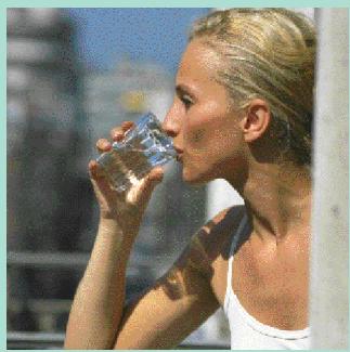 CALOR BIEN ETRE BODYMASTER 7930 - Guide de nutrition et d'activités physiques - 1