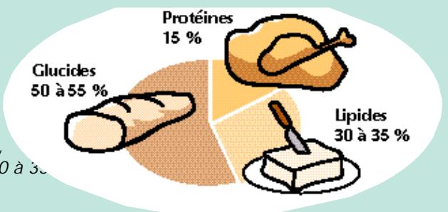 CALOR BIEN ETRE BODYMASTER 7930 - Comment agir pour conserver une composition corporelle équilibrée ? - 1