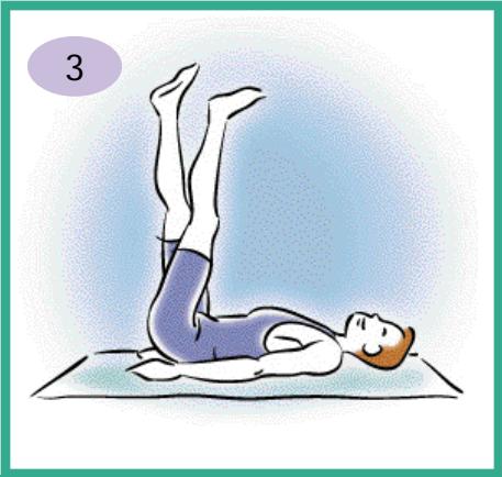 CALOR BIEN ETRE BODYMASTER 7930 - Renforcement musculaire - 3