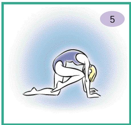 CALOR BIEN ETRE BODYMASTER 7930 - Renforcement musculaire - 2