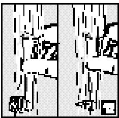 CALOR BIEN ETRE DENTACONTROL DUO COMBINE 6955 - 13