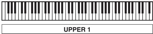 CALOR CTK-6200 - Superposition et partage desonorités - 1