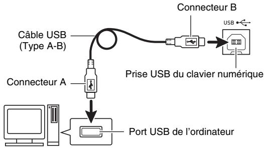 CALOR CTK-6200 - ÀpRES avoir mis en marche votre ordinateur, raccordez-le au clavier numérique avec un cable USB du commerce. - 1