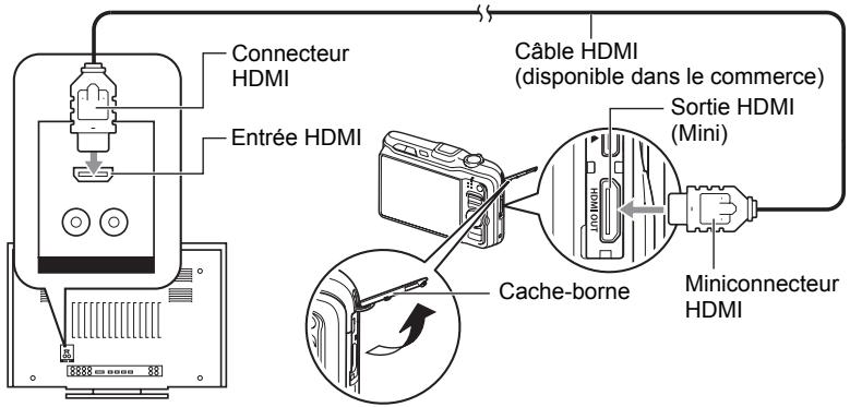 CALOR EX-H20G - Visionnage de séquences de haute qualité sur un téléviseur Hi-Vision - 2