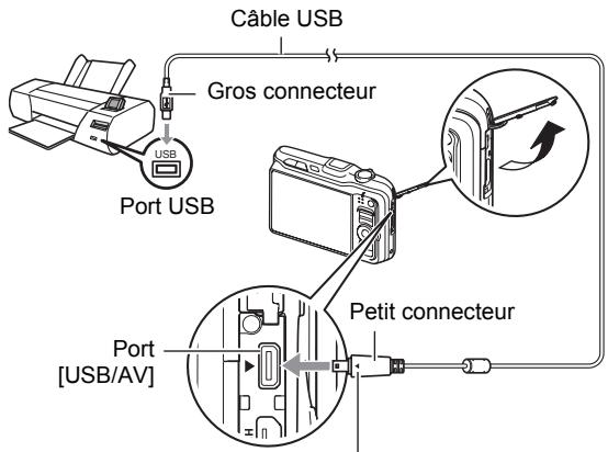 CALOR EX-H20G - Raccordement de l'appareil photo à une imprimante - 1
