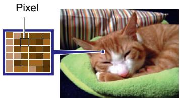 CALOR EX-H20G - Pixels - 1