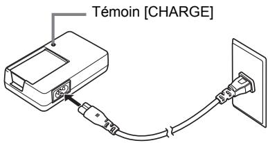CALOR EX-H20G - Pour charger la batterie - 2