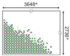 CALOR EX-H20G - A propos des tailles d'images - 1