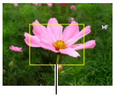 CALOR EX-H20G - Pour effectuer soi-même la mise au point - 1