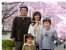 CALOR EX-H20G - Utilisation de la détction de visages (Détction vsgs) - 1