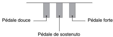CALOR PRIVA PX-150 - Pédale de sostenuto - 1