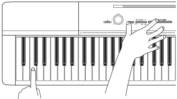 CALOR PRIVA PX-150 - Changement des octaves des claviers pour l'interprétation à quatre mains - 1