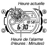 CALOR 3281 - Utilisation de l'alarme - 1
