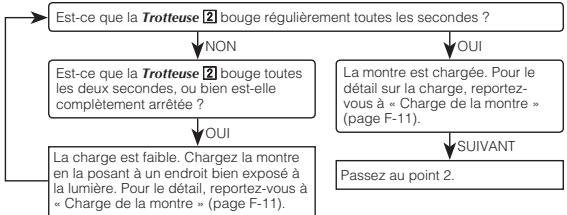 CALOR 5289 - Points à vérifier avant d'utiliser la montre - 1
