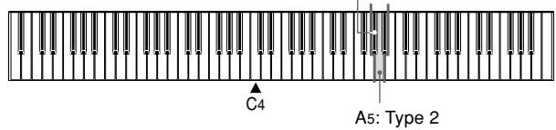 CASIO AP-31 - Pour changer le type de nombres de programme - 1