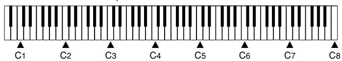 CASIO CELVIANO AP-31 - ATTENTION - 3