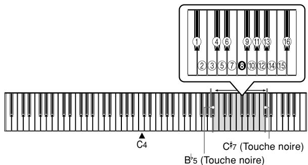 CASIO CELVIANO AP-31 - Pour désigner le canal du clavier - 1