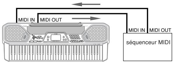 CASIO CTK-481 - Connexions MIDI - 1