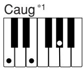 CASIO CTK-481 - REMARQUE - 4