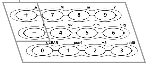 CASIO CTK-481 - Touches [+] / [-] - 1