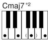 CASIO CTK-481 - REMARQUE - 8