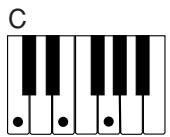 CASIO CTK-481 - REMARQUE - 1