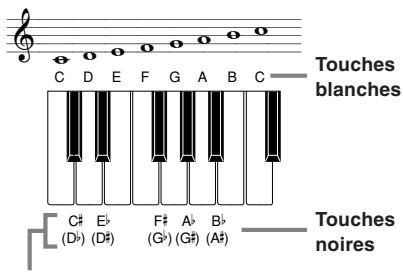 CASIO CTK-481 - Noms d'accords - 1