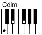 CASIO CTK-671 - REMARQUE - 3