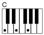 CASIO CTK-671 - REMARQUE - 1