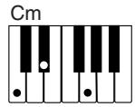 CASIO CTK-671 - REMARQUE - 2