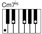 CASIO CTK-671 - REMARQUE - 9