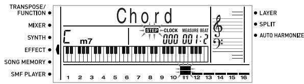 CASIO CTK-691 - IMPORTANT! - 1